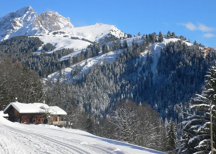 Les Rochers Blancs By Interhome Chalet